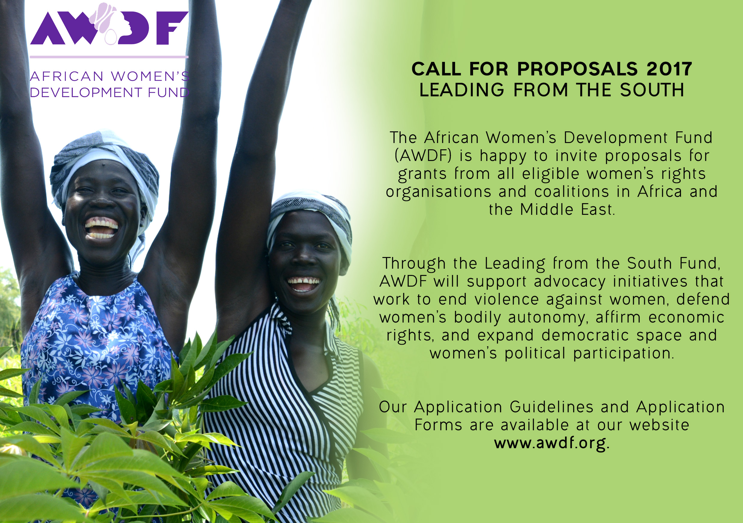 Leading From The South Call For Proposals The African Women S Development Fund