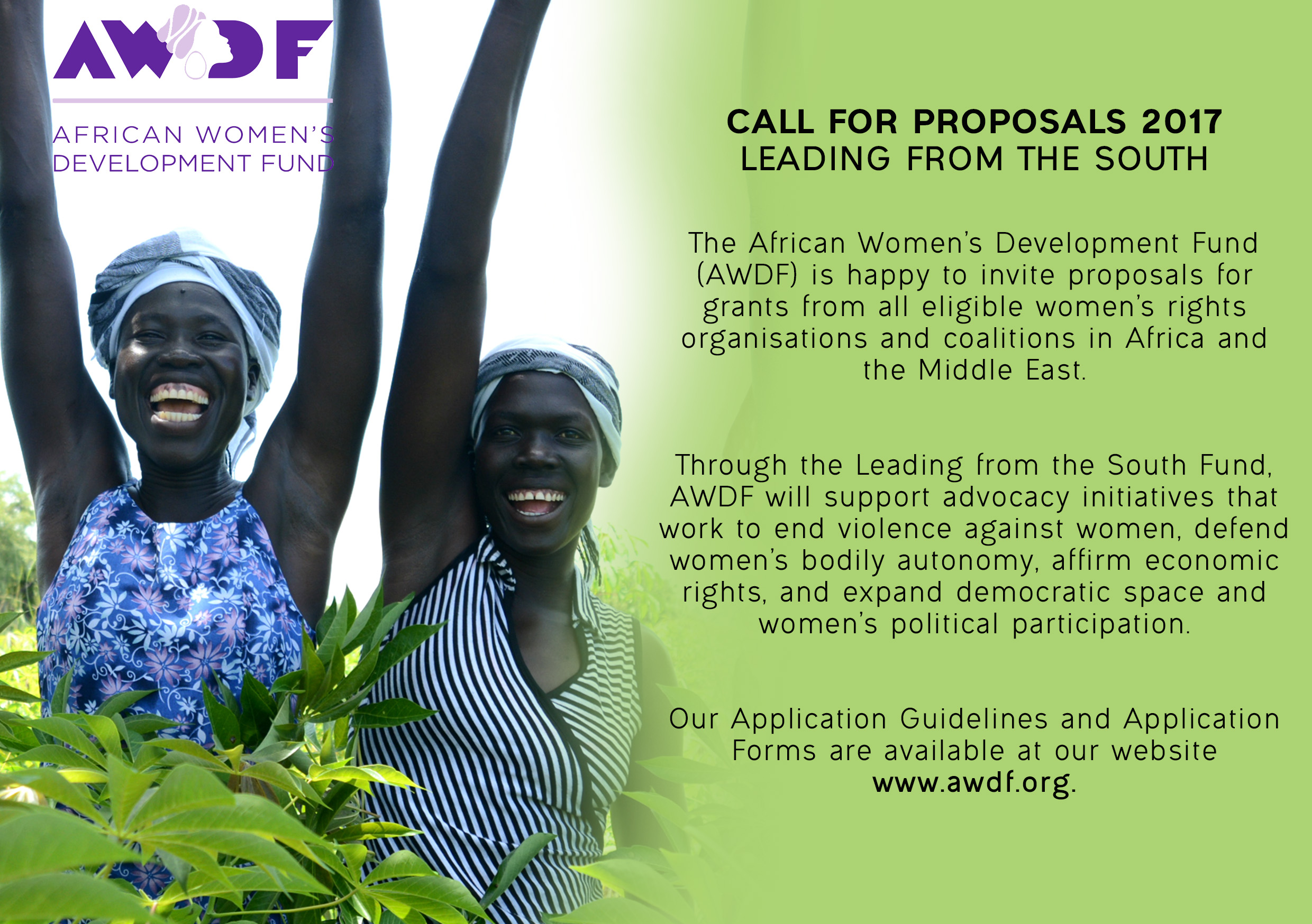 Leading From the South: Call for Proposals - The African Women's ...